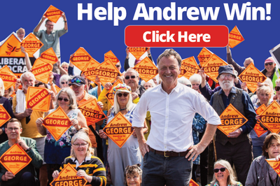 Help Andrew Win